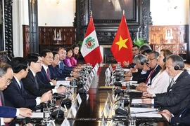 El presidente de Vietnam, Luong Cuong, sostuvo el 13 de noviembre (hora local) conversaciones con su homóloga anfitriona, Dina Ercilia Boluarte Zegarra (Fuente: VNA)