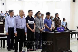 Les accusés écoutent le verdict dans le procès de l’affaire de Viêt A, devant le Tribunal populaire supérieur de Hanoi, le 17 mai. Photo : VNA