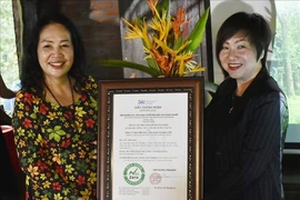 Suoi Rao Ecolodge devient la première destination neutre en carbone de Bà Ria-Vung Tàu. Photo: VNA