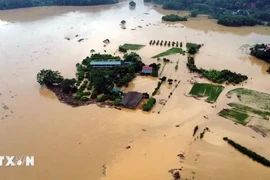 La province de Tuyên Quang a demandé aux autorités locales de faire en sorte que la population s'éloigne le plus possible des zones inondées et ne manque pas de nourriture et d'eau potable. Photo: VNA