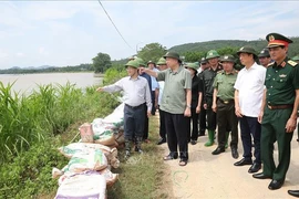 Le secrétaire général et président Tô Lâm inspecte certains points critiques de la digue de la rivière Lô, dans la commune de Truong Sinh, district de Son Duong, province de Tuyên Quang. Photo : VNA