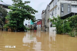 La ville de Yên transformée en lac trouble et boueux après le passage du typhon Yagi et des inondations qui ont suivi, le 10 septembre. Photo: VNA