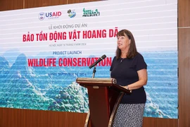 La directrice adjointe de la mission de l’USAID, Debra Mosel, s’exprime lors de l’événement. Photo : baodautu.vn