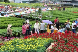 Le bonheur est dans les champs de fleurs. Photo: dulich.dongthap.gov.vn