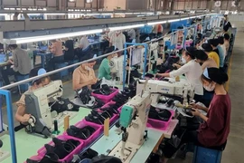 Dans l'usine de la Compagnie de production de chaussures de Ha Hoa, province de Phu Tho (Nord). Photo : VNA