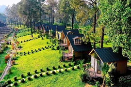 Bungalows en plein nature à Son La (Nord). Photo : VNA