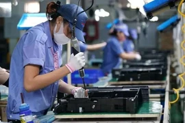 Des ouvriers examinent des circuits électroniques dans une entreprise à capitaux sud-coréens dans le parc industriel de Yên Phong, dans la province de Bac Ninh. Photo : VNA