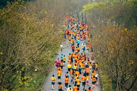 Les coureurs participent au marathon de Tràng An 2023. Photo: VNA