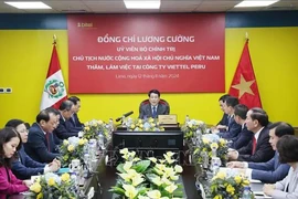 Le président vietnamien Luong Cuong (centre) lors de sa séance de travail avec avec Viettel Peru S.A.C (Bitel), à Lima. Photo : VNA