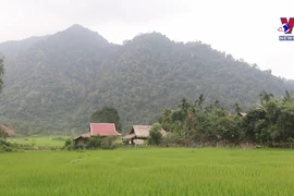 Na Kho village overcomes war losses and thrives