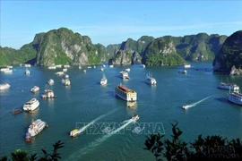 Vessels in Ha Long Carnival to perform, not to serve tourists: Authority