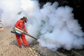 Indonesia logs threefold increase in dengue cases