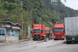 Nearly 55,800 tonnes of agricultural products exported via Lang Son's border gates during holidays
