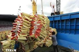 Vietnam exportará más de ocho millones de toneladas de arroz en 2024