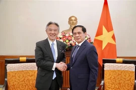 Le Vietnam et le Japon promeuvent leur coopération dans divers domaines