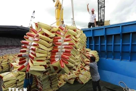 Le Vietnam aura suffisamment de 8 millions de tonnes de riz pour l'exportation