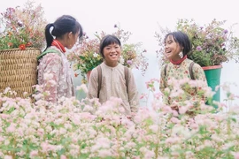 Девочки этнических меньшинств стоят посреди цветочного поля как интересная изюминка, когда вокруг туристы приезжают и фотографируются с треугольником из гречихи. (Фото: Vietnam +)