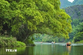 越南接待游客量保持良好增长势头 旅游收入达271万亿越南盾