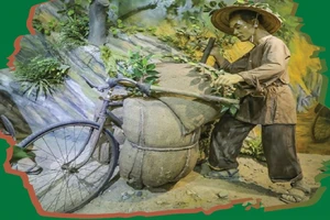 Cargo bicycles the “King of Transport” on the Dien Bien Phu battlefield
