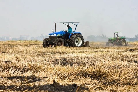 Mekong Delta moving to navigate drought, saltwater intrusion