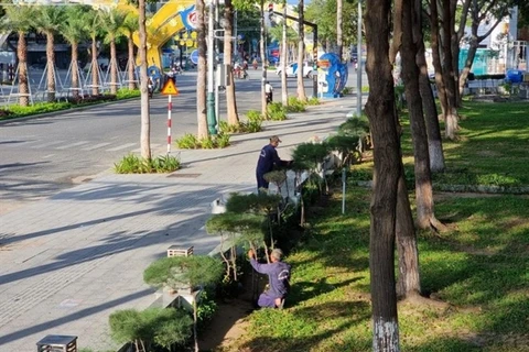 Workers take care of trees in Phan Rang - Thap Cham city, Ninh Thuan province. (Photo: VNA)