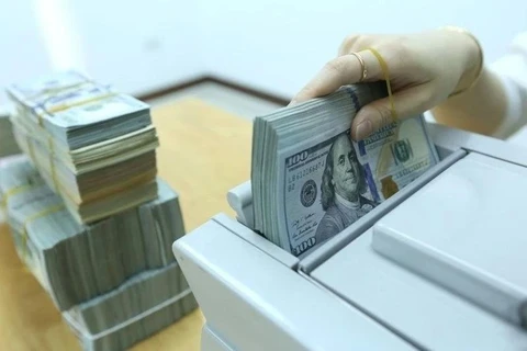 The daily reference exchange rate is set at 24,241 VND/USD on August 5. (Photo: VNA)