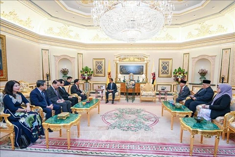 The meeting between NA Vice Chairman Nguyen Khac Dinh and Sultan of Brunei Haji Hassanal Bolkiah in Bandar Seri Begawan on August 10 (Photo: VNA)