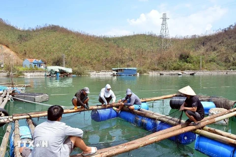 Fishermen mend nets and cages to resume aquaculture. (Photo: VNA)