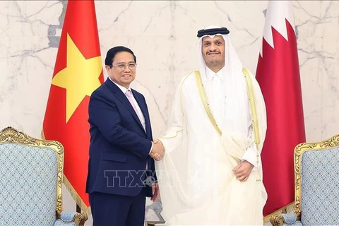 Vietnamese Prime Minister Pham Minh Chinh (left) and his Qatari counterpart Sheikh Mohammed bin Abdulrahman Al Thani at their talks in Doha on October 31. (Photo: VNA)