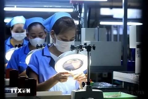 Workers produce electronic components at a factory in Vietnam. (Photo: VNA)