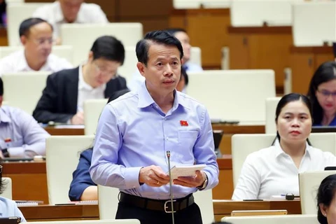 Un député s'exprime à la discussion de la 8e session de la 15e Assemblée nationale, le 23 octobre. Photo: VNA