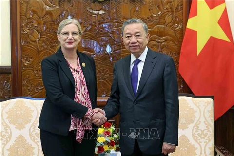 El presidente To Lam recibe a la embajadora de Suecia en Vietnam, Ann Mawe. (Fuente:VNA)