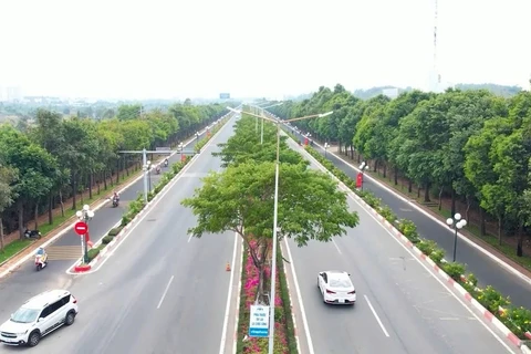 La calle 3/2 en la ciudad de Vung Tau tiene árboles y flores en sus alrededores. (Fuente: Internet)