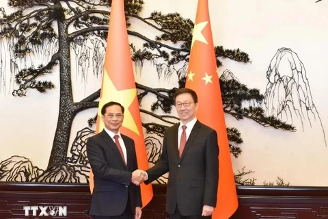 El viceprimer ministro y canciller de Vietnam, Bui Thanh Son (izquierda), se reunió con el vicepresidente de China, Han Zheng. (Fuente: VNA)