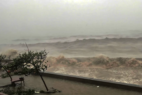 台风“摩羯”登陆海防市 台风强度达到巅峰