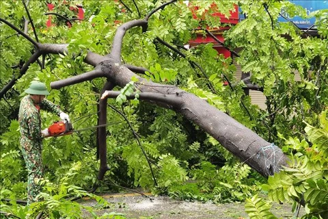 超级台风“摩羯”来袭后，首都河内道路一片狼藉