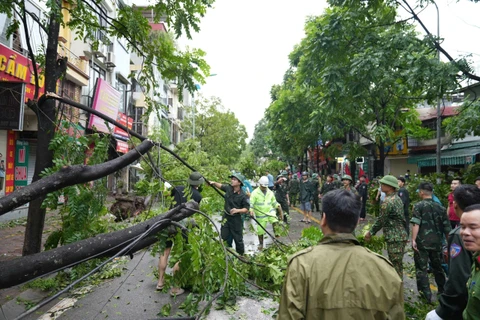 台风“摩羯”给河内造成巨大损失：一人死亡、2800棵树木倒伏