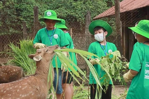 Los jóvenes participan en el campamento de verano Cuc Phuong 2024 en el Parque Nacional Cuc Phuong. (Fuente: VNA)