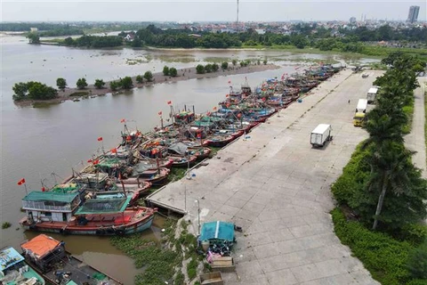 Buques anclados de forma proactiva para evitar tormentas en el puerto pesquero de Tan Son (ciudad de Diem Dien, distrito de Thai Thuy, provincia de Thai Binh). (Fuente: VNA)