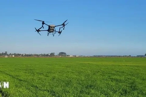 La transformación digital se ha convertido en una estrategia clave, que abre oportunidades para construir un modelo agrícola más inteligente, sostenible y eficiente, asegurando la posición de la agricultura vietnamita en el mapa mundial. (Fuente: VNA)