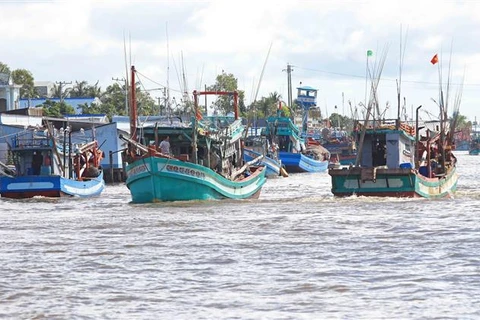 La provincia de Ca Mau ha implementado el uso de software de gestión integrada para controlar los buques pesqueros que entran y salen del puerto marítimo, que deben ser controlados por el puerto pesquero, la oficina INDNR y la estación de guardia fronteriza. Foto: Huynh Anh – VNA