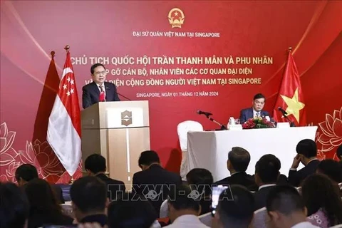 El presidente de la Asamblea Nacional de Vietnam, Tran Thanh Man, habla en la reunión con representantes de la comunidad coterránea en Singapur (Fuente: VNA)