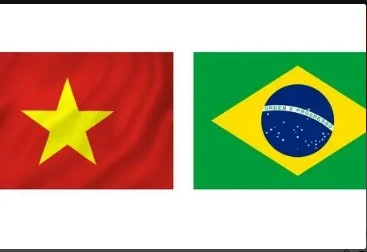 1989年越南与巴西建立外交关系。