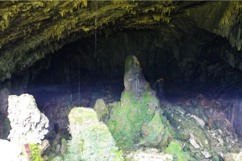 野兽洞于1976年首次发掘，被认为是越南乃至东南亚最独特的史前洞穴考古遗址。图自Vietnam+