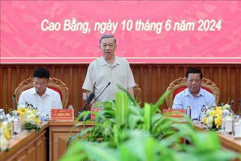 国家主席苏林在会上发表讲话。图自越通社