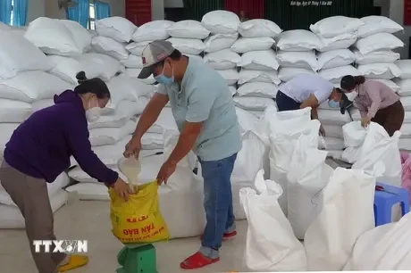 Plus d'un millier de tonnes de riz attribués à cinq localités. Photo: VNA