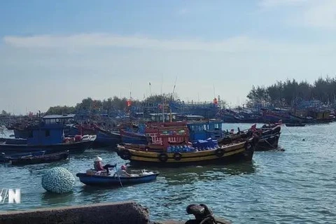 Des bateaux de pêche qui ne sont pas enregistrés, non immatriculés et sans permis de pêche, sont surveillés étroitement. Photo: VNA