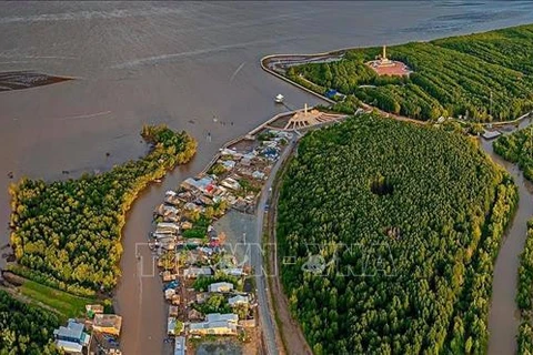 La région du Cap Ca Mau vue d'en haut. Photo: VNA