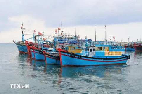 Des bateaux de pêche mouillent au port. Photo: VNA