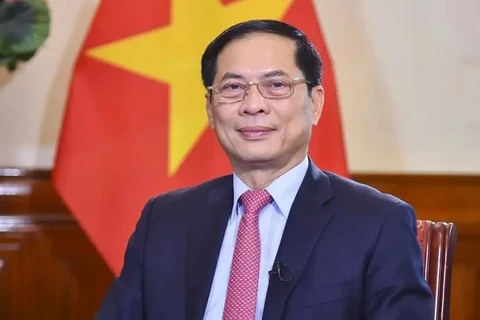 Le vice-Premier ministre et ministre des Affaires étrangères Bui Thanh Son. Photo: VNA